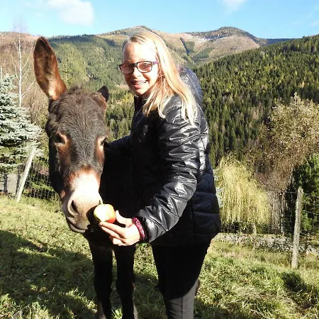 Kristabauer * Predlitz