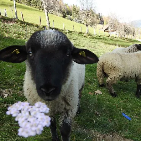 Kristabauer Feriehus