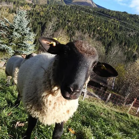 Сasa de vacaciones Kristabauer *