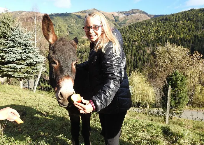 Kristabauer * Predlitz