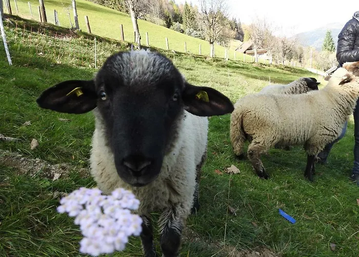 Kristabauer Vakantiehuis