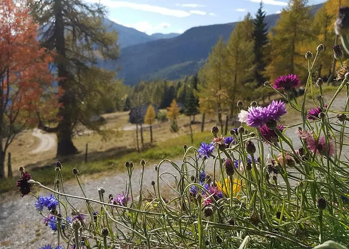 Kristabauer Holiday home